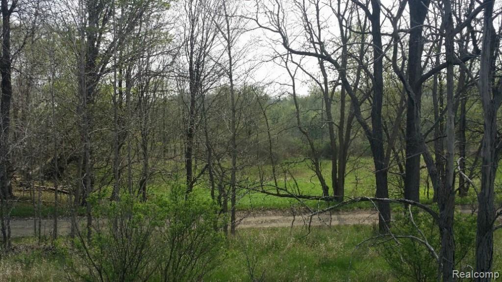 S South Michigan Avenue Howell, MI 48843 - Photo 10 of 12