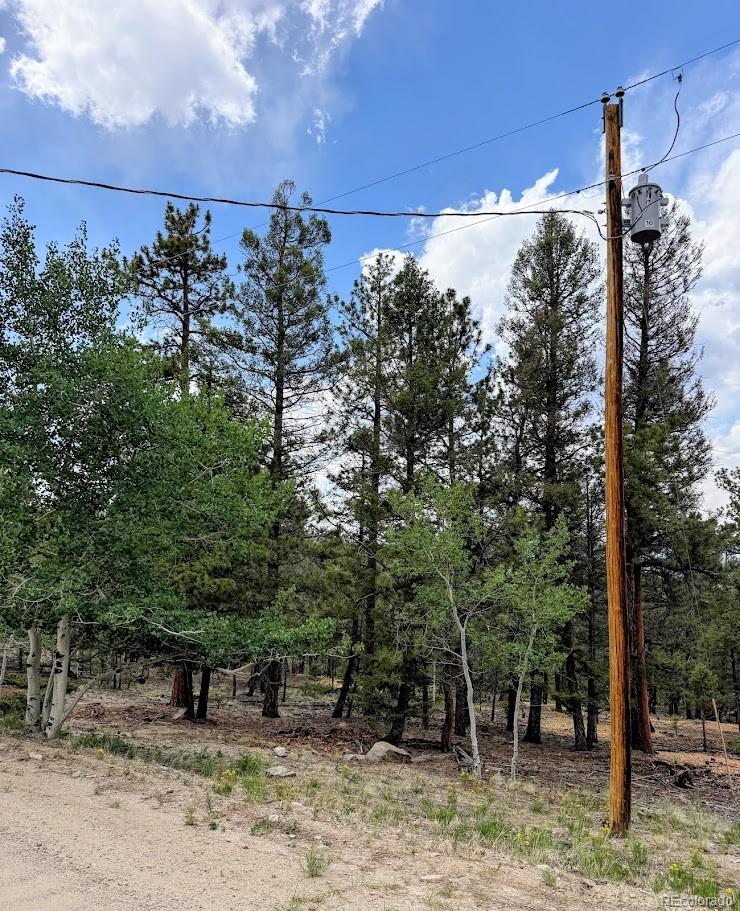 1789 Bellows Road Hartsel, CO 80449 - Photo 6 of 21
