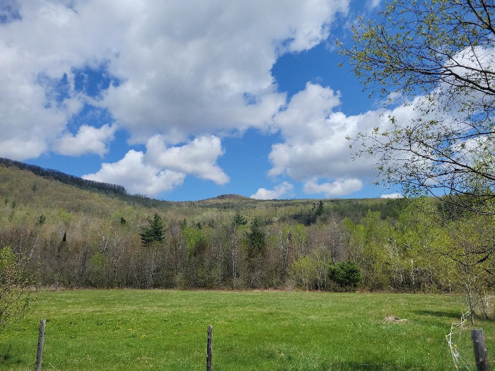 Lot 11 Swift River Road Byron, ME 04275 - Photo 32 of 72 photo_49235df0-46e0-46a1-a923-1867136795