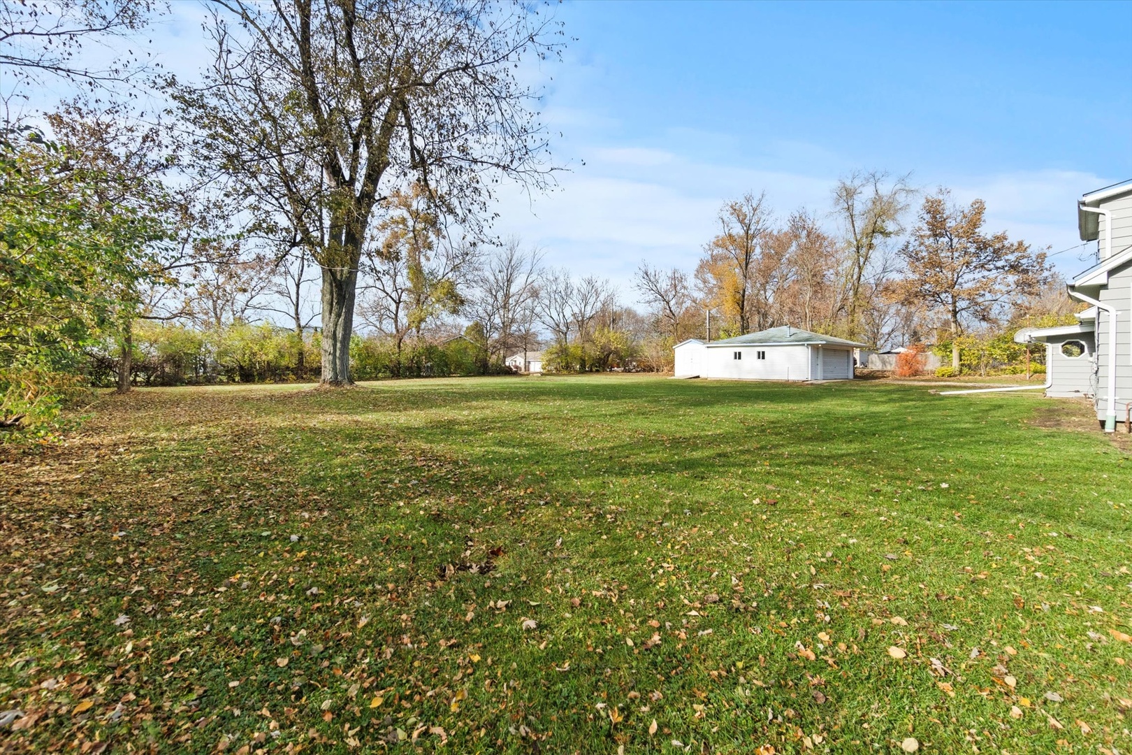 913 Ogden Road New Lenox, IL 60451 - Photo 32 of 41 a view of a field with an trees