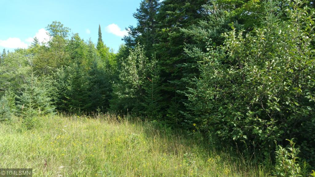 Parcel B West Parcel B W Mud Lake Road Tamarack, MN 55787 - Photo 1 of 1 Gallery Image 1