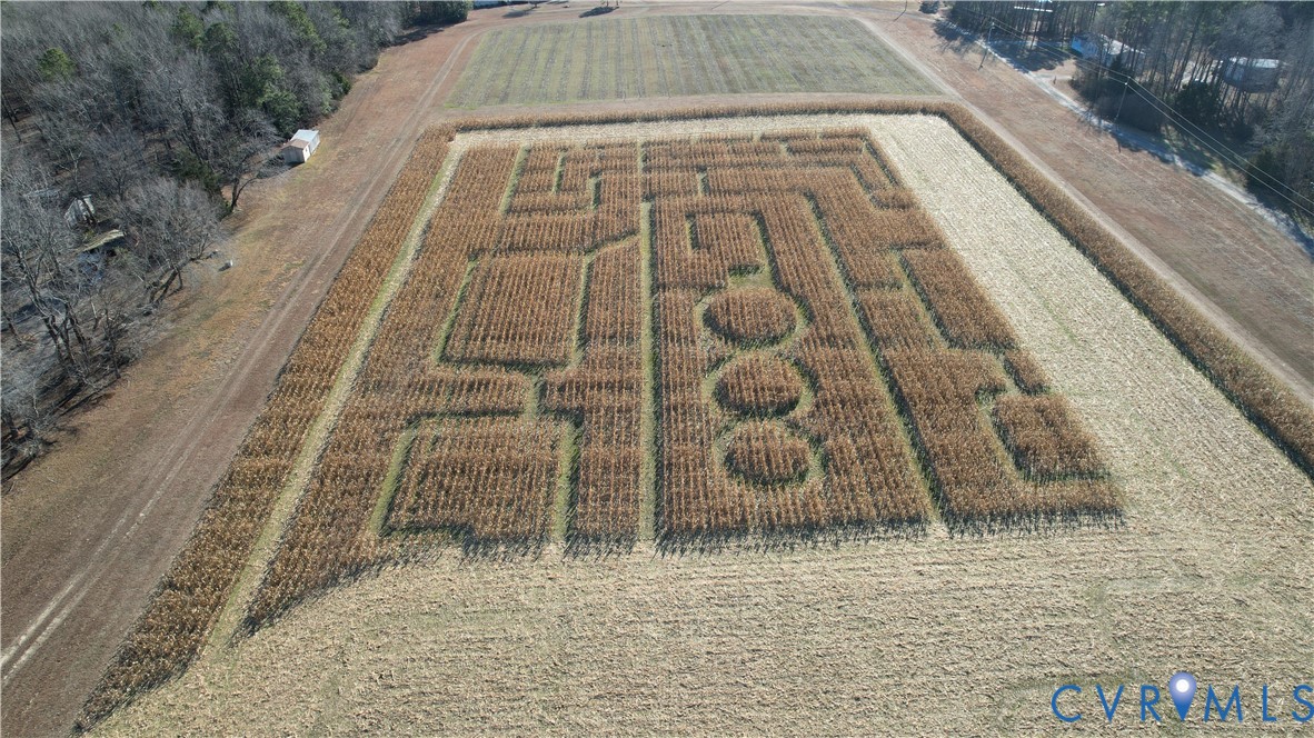 20825 Carson Road Dinwiddie, VA 23841 - Photo 14 of 50