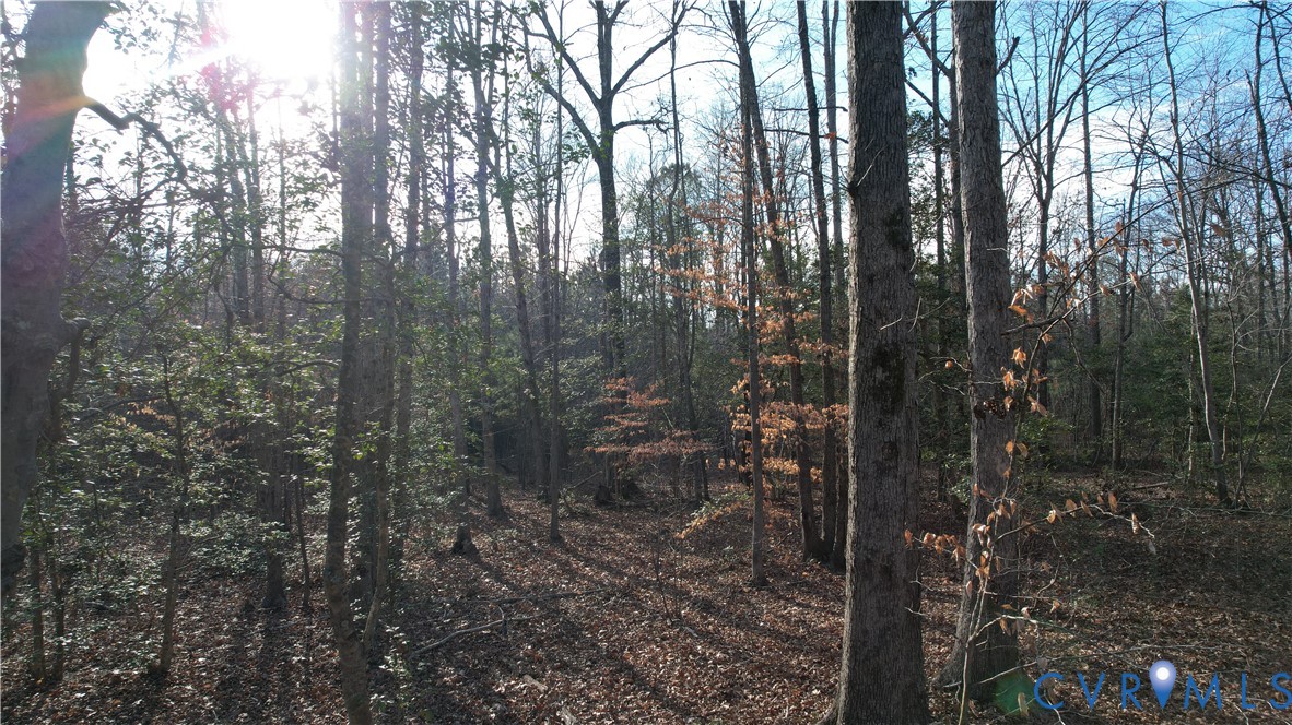 20825 Carson Road Dinwiddie, VA 23841 - Photo 16 of 50