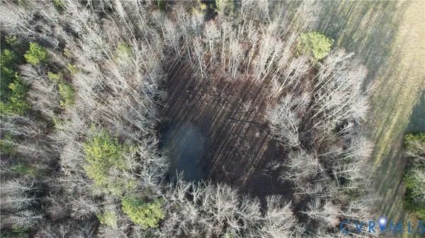 a backyard of a house with lots of plants and large trees