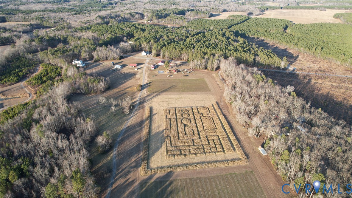 20825 Carson Road Dinwiddie, VA 23841 - Photo 19 of 50