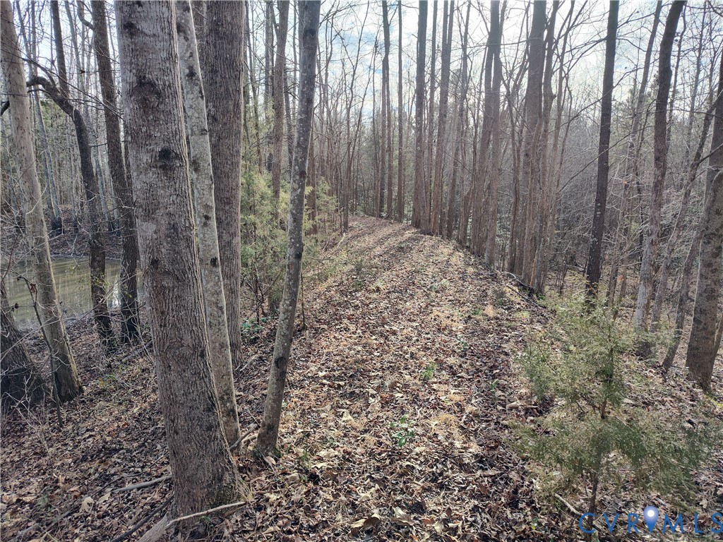 20825 Carson Road Dinwiddie, VA 23841 - Photo 26 of 50