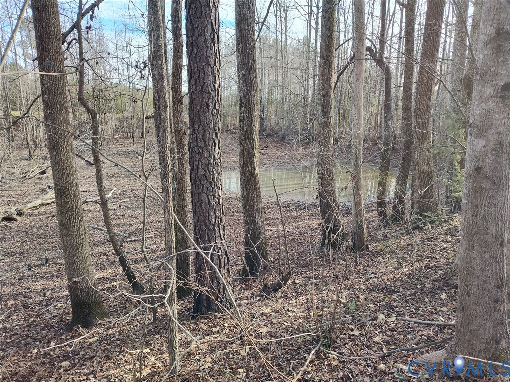 20825 Carson Road Dinwiddie, VA 23841 - Photo 27 of 50