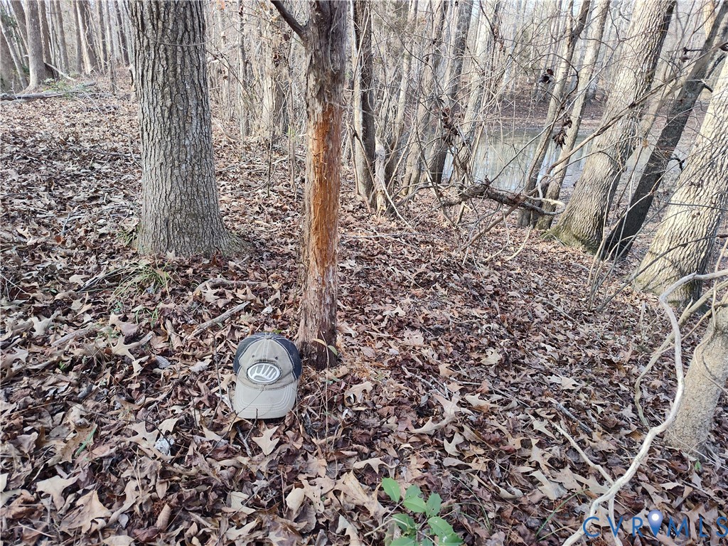 20825 Carson Road Dinwiddie, VA 23841 - Photo 28 of 50