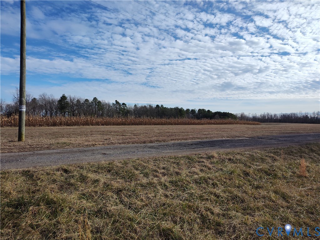 20825 Carson Road Dinwiddie, VA 23841 - Photo 29 of 50