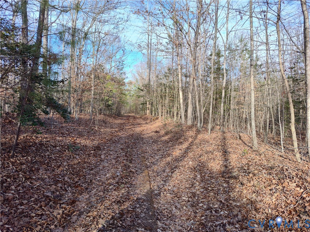 20825 Carson Road Dinwiddie, VA 23841 - Photo 33 of 50