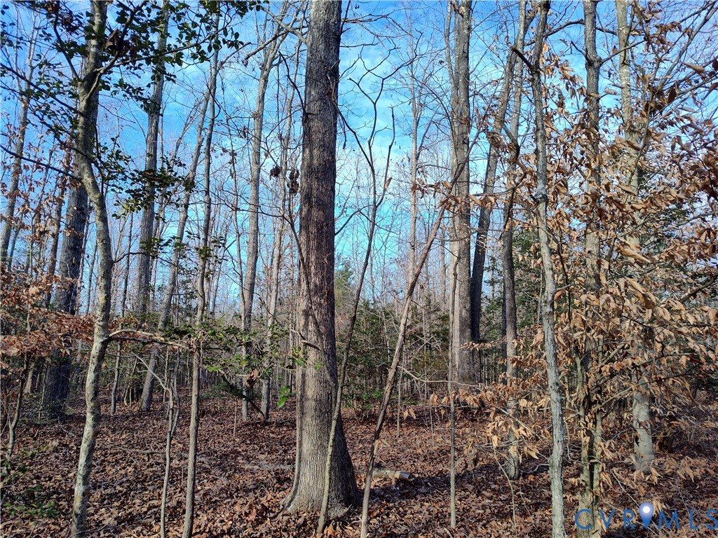 20825 Carson Road Dinwiddie, VA 23841 - Photo 34 of 50