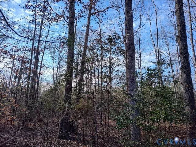 $449,000 | 20825 Carson Road, Dinwiddie, VA 23841