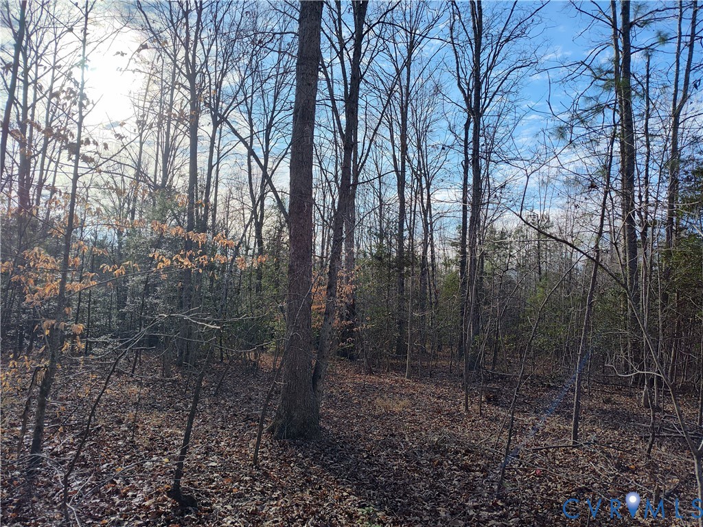 20825 Carson Road Dinwiddie, VA 23841 - Photo 36 of 50