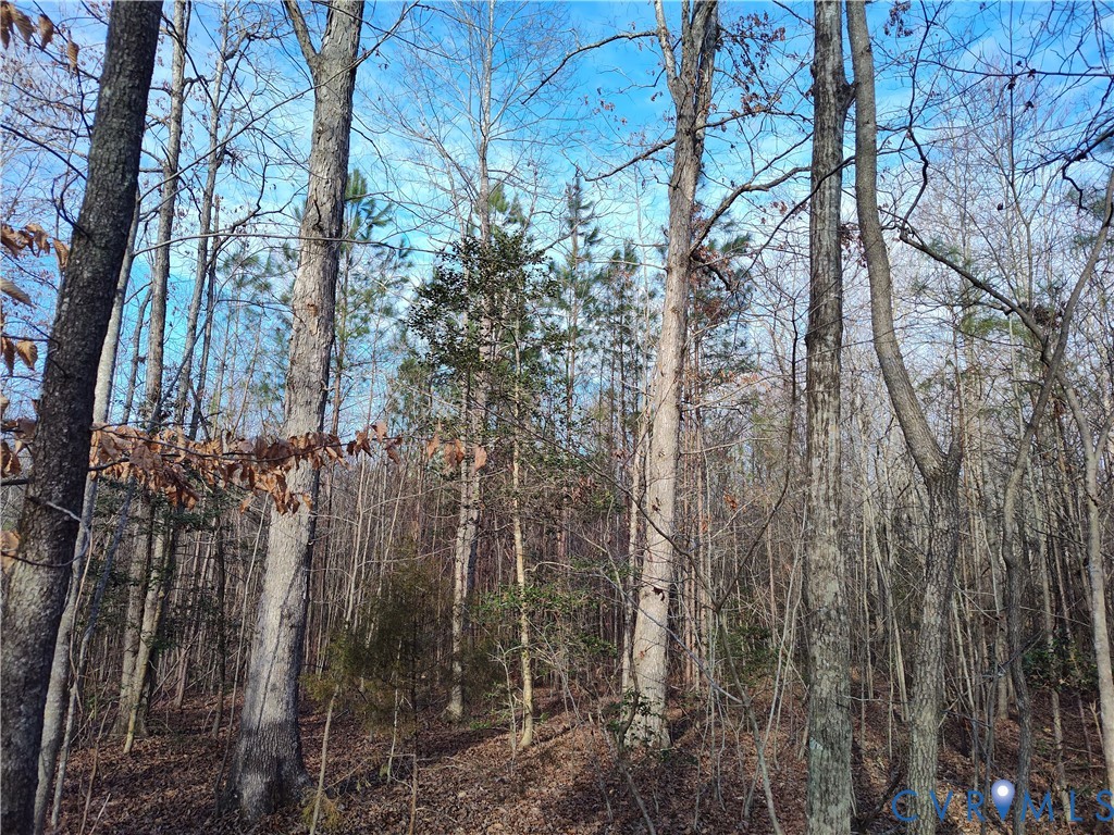 20825 Carson Road Dinwiddie, VA 23841 - Photo 37 of 50