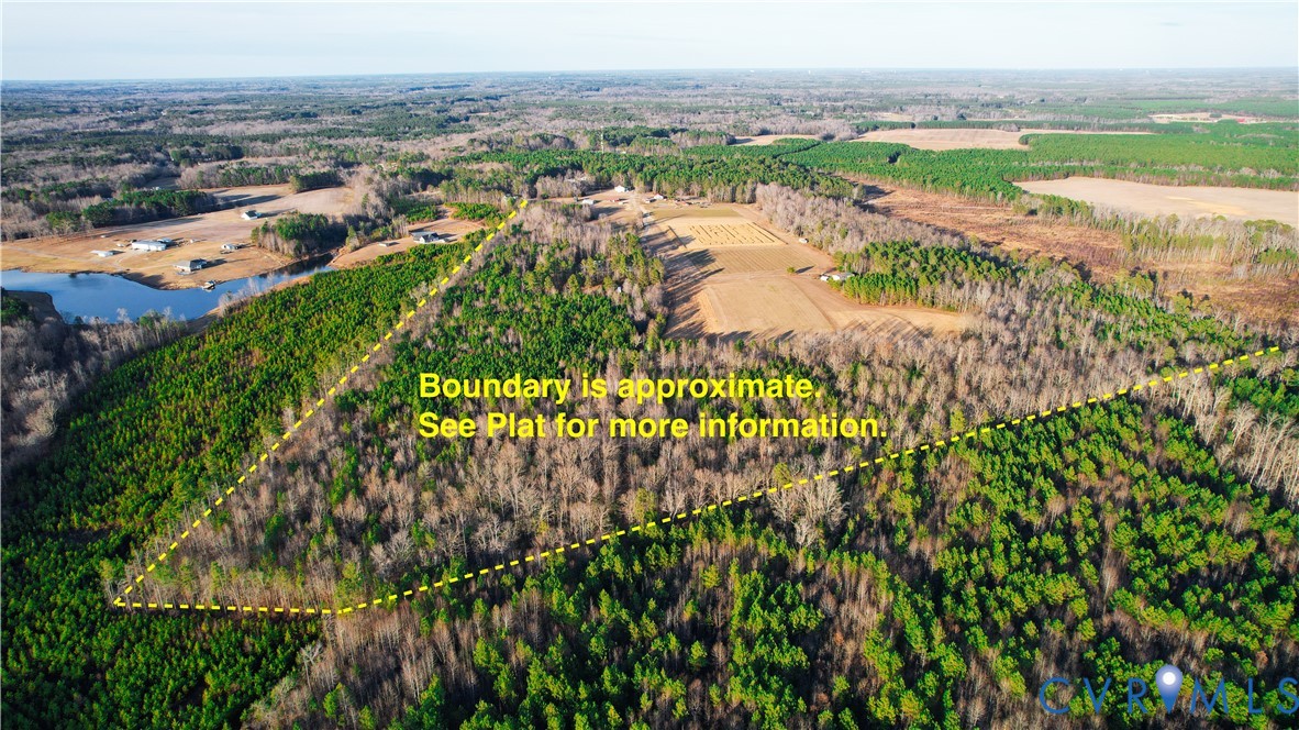 20825 Carson Road Dinwiddie, VA 23841 - Photo 9 of 50