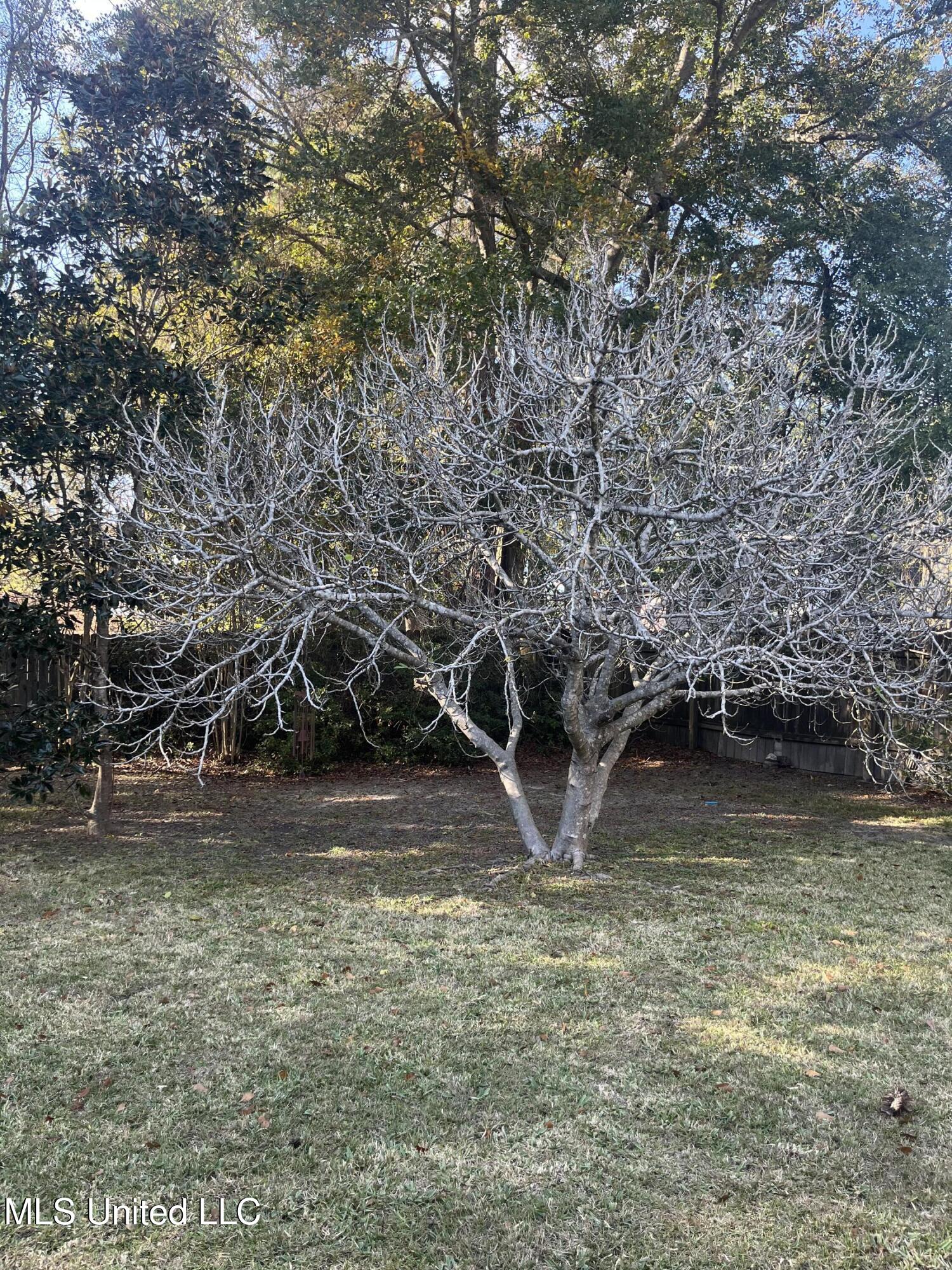 3717 Tangerine Street Ocean Springs, MS 39564 - Photo 25 of 27 IMG_6058