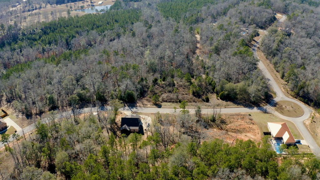 143 Old Village Road Ozark, AL 36360 - Photo 6 of 16