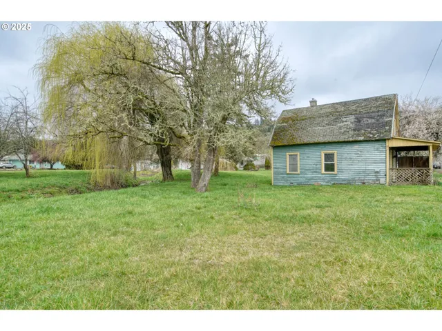 a backyard of a house with plants and large tree