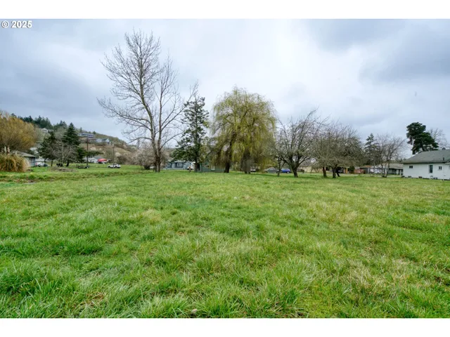 a view of green field