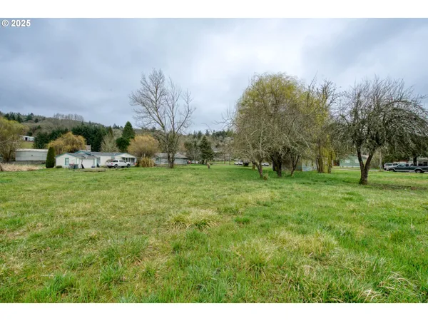 a view of a park with large trees