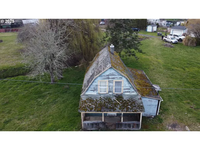 a open area with lots of trees