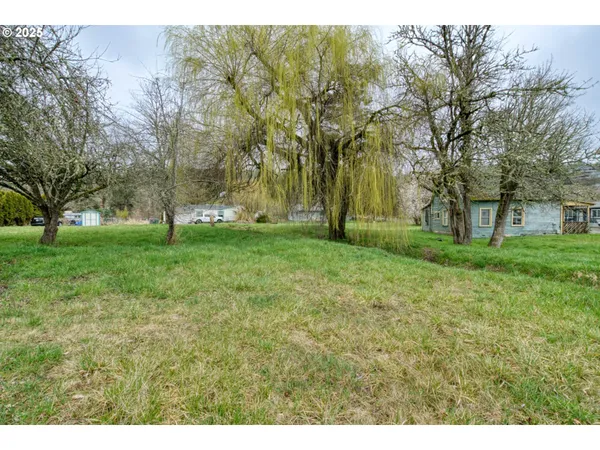 a view of yard with an trees