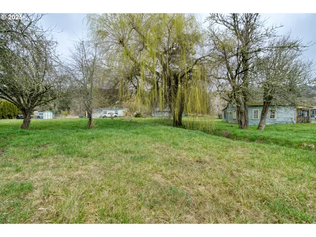 a view of yard with an trees