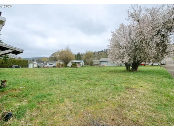 a grassy field with trees in the background