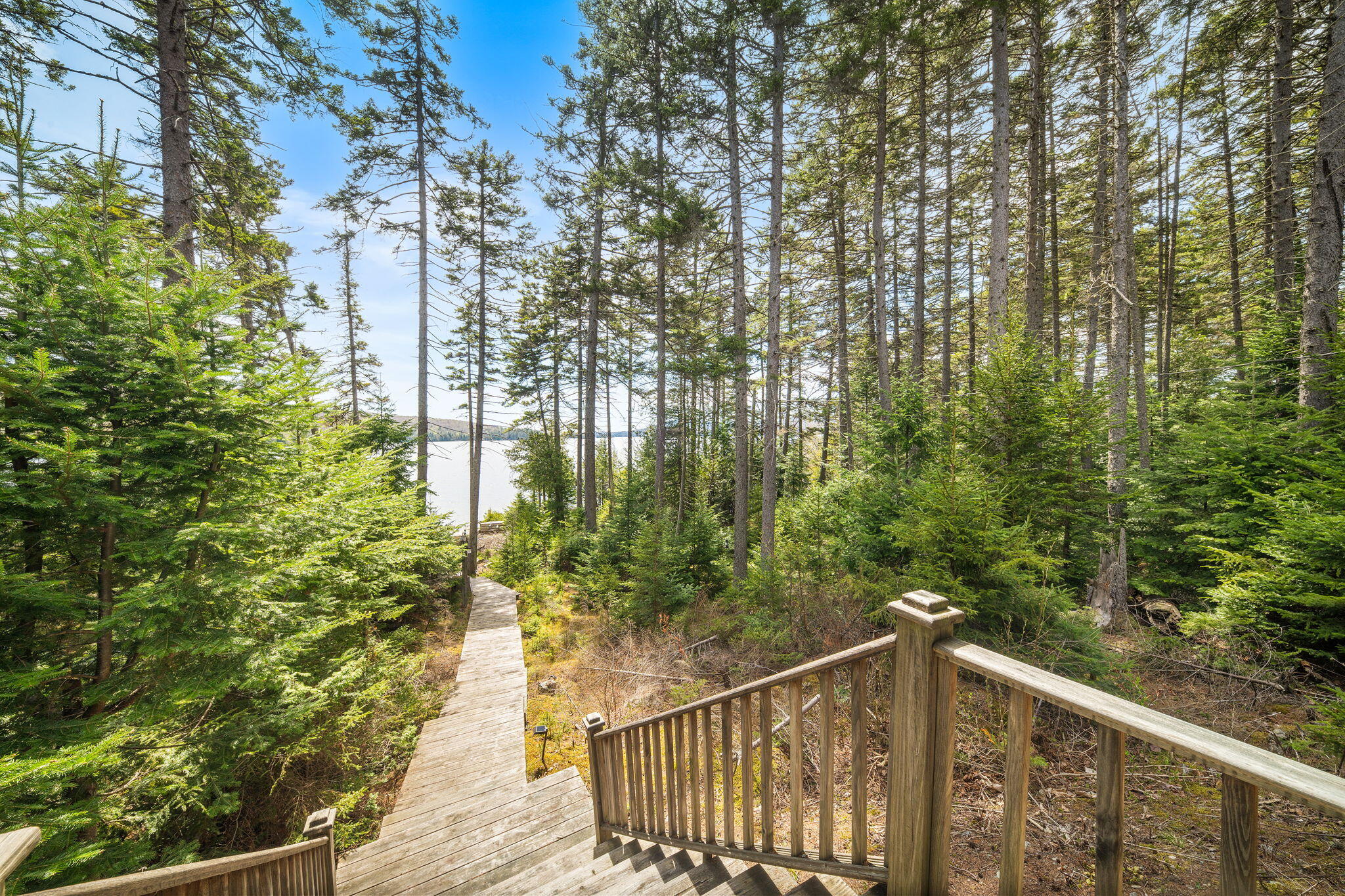 67 Sandy Bay Road Greenville, ME 04441 - Photo 50 of 58 54-web-or-mls-DSC01814