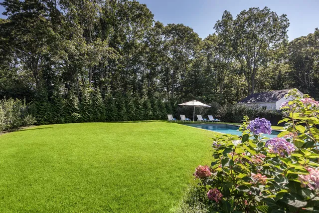 a small garden covered with tall trees