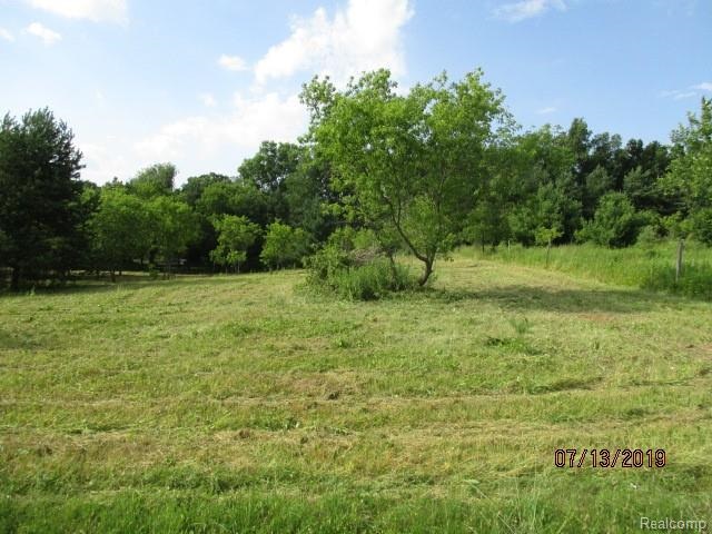 0 Tipsico Lake Road Fenton, MI 48430 - Photo 5 of 6