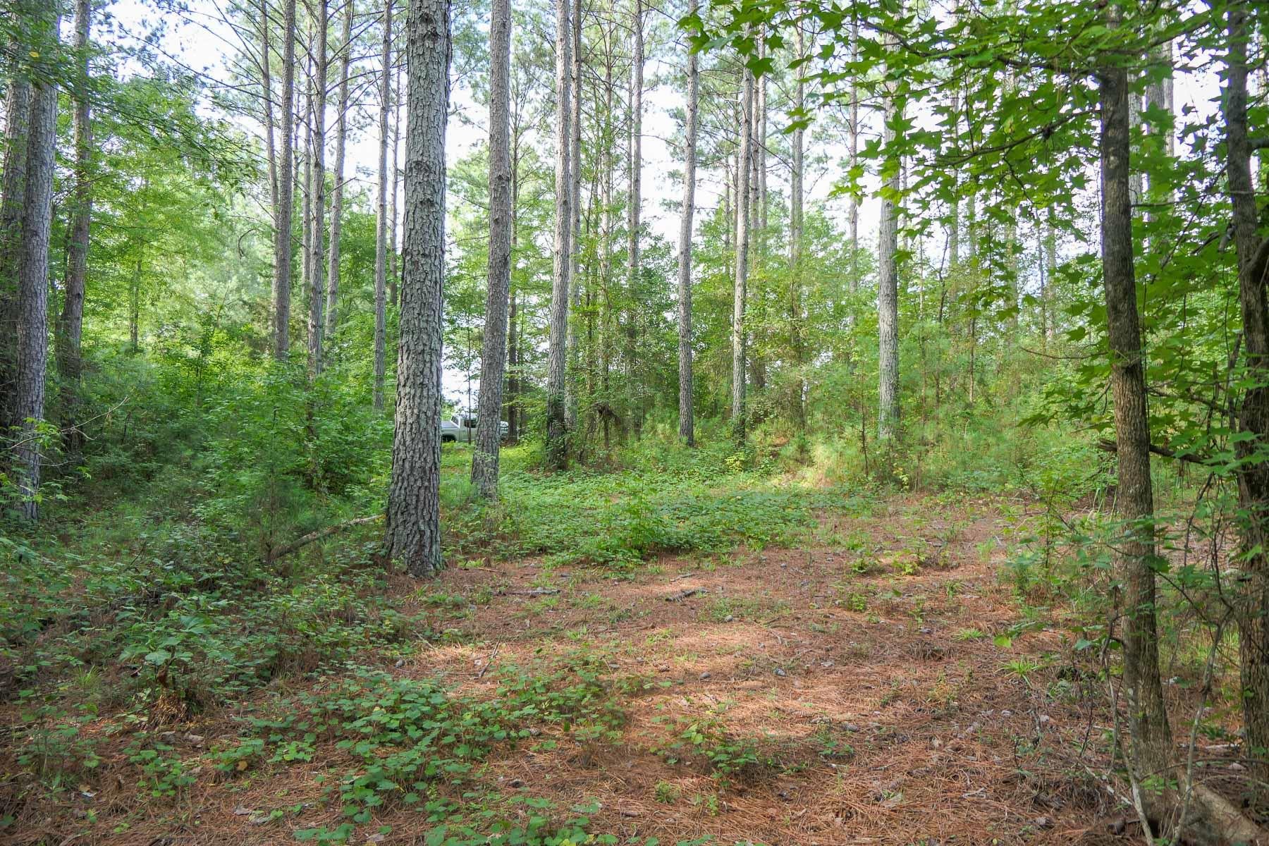 0 Asbury Road Pacolet, SC 29372 - Photo 11 of 11 Gallery Image 11