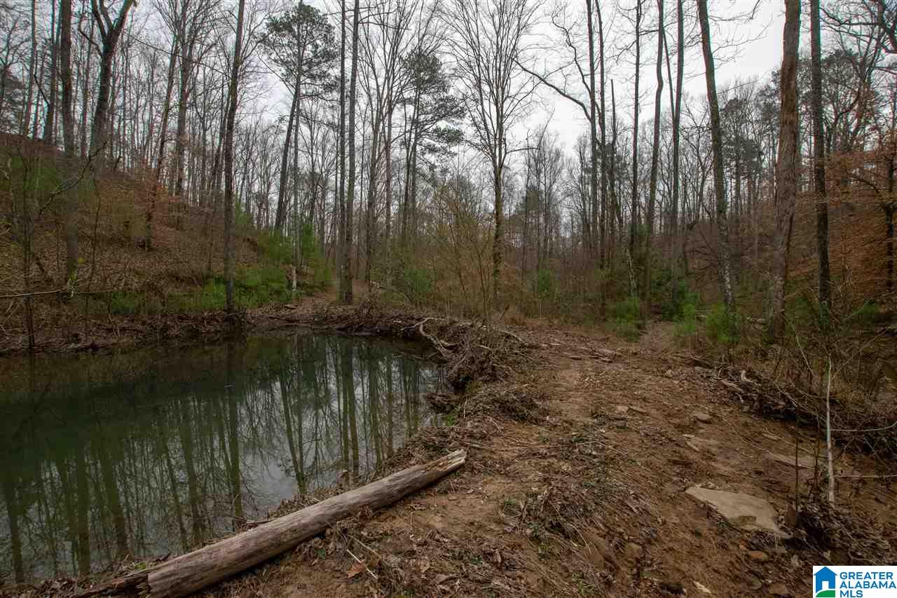 1055 Ranger Trail Warrior, AL 35180 - Photo 22 of 32