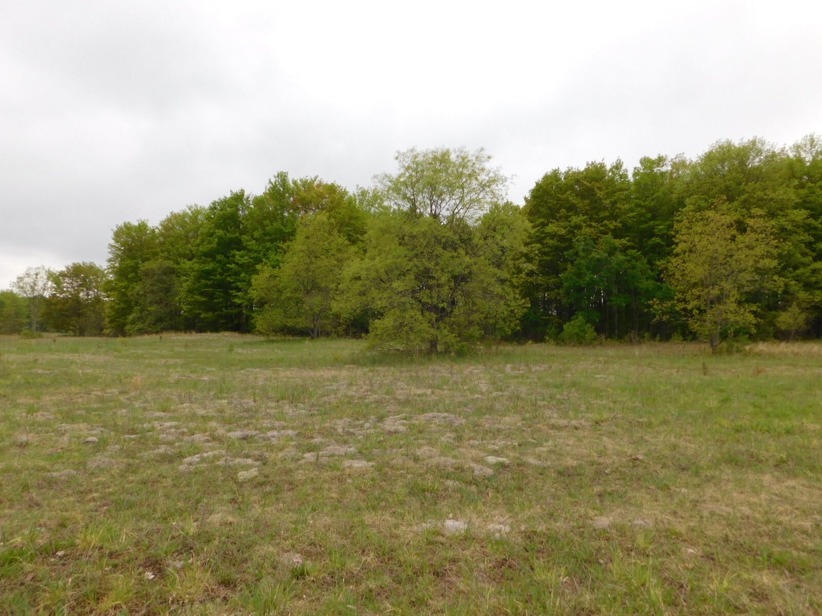 Post Road Frederic, MI 49733 - Photo 1 of 30 Gallery Image 1