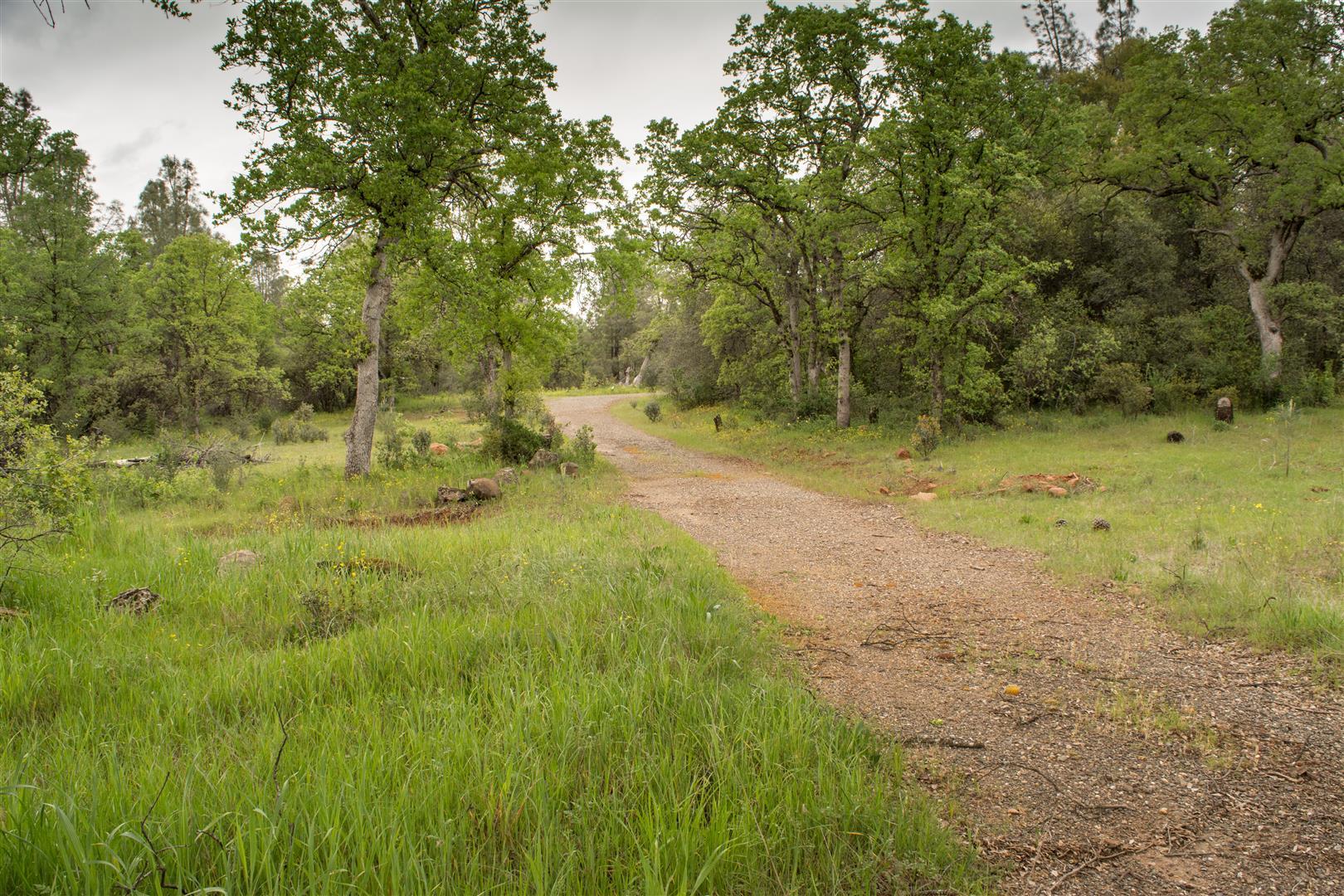 6905 Frey Road Shingletown, CA 96088 - Photo 42 of 42 Second Entrance Road