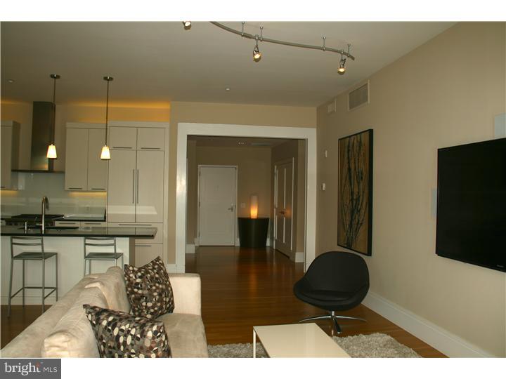 323 Iron Works Way Wayne, PA 19087 - Photo 3 of 15 Gallery Image 3
