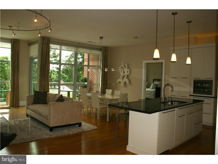 323 Iron Works Way Wayne, PA 19087 - Photo 4 of 15 Gallery Image 4