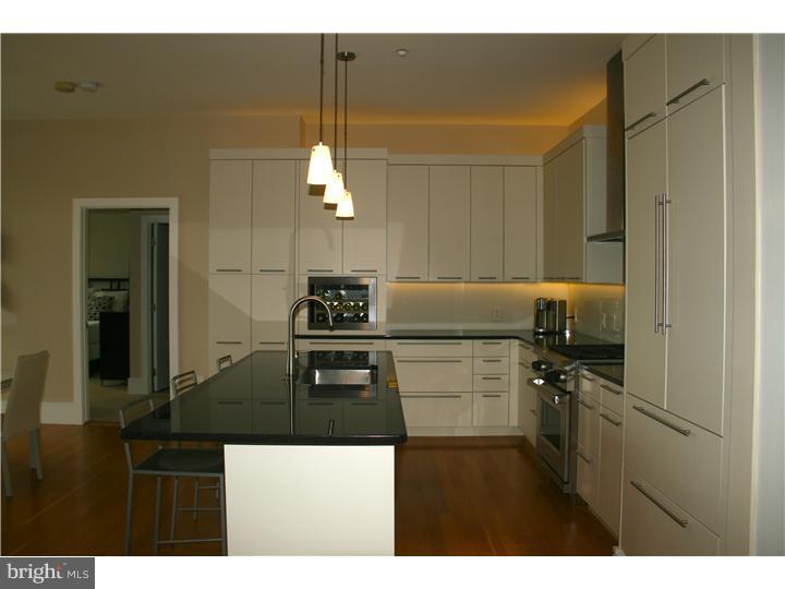 323 Iron Works Way Wayne, PA 19087 - Photo 5 of 15 Kitchen