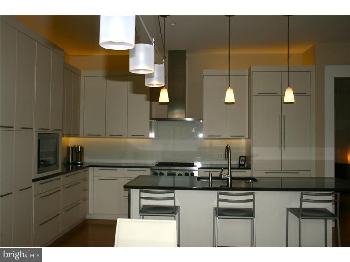 323 Iron Works Way Wayne, PA 19087 - Photo 6 of 15 Kitchen