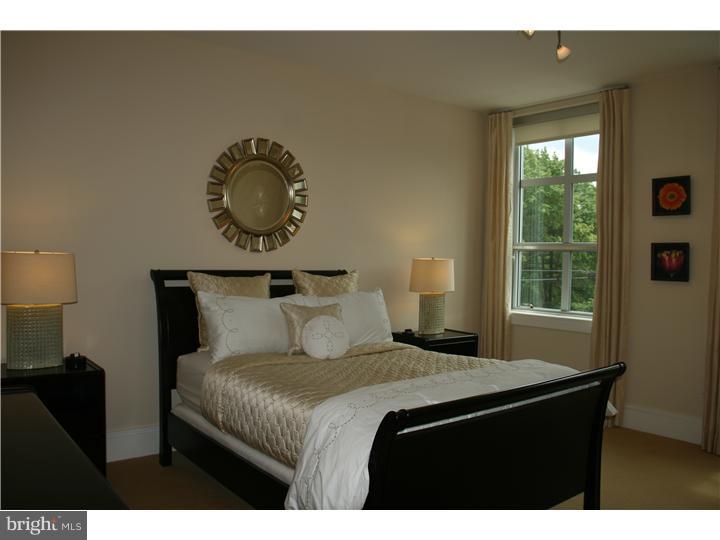 323 Iron Works Way Wayne, PA 19087 - Photo 8 of 15 Master Bedroom