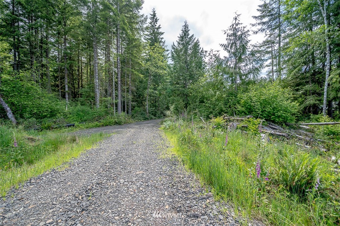 928-79 Logan Hill Road, Unit 79 Chehalis, WA 98532 - Photo 2 of 9