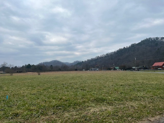 135 Padgett Mill Road Cosby, TN 37722 - Photo 2 of 4
