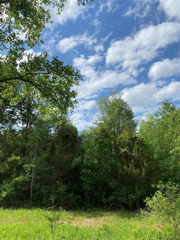 0 Kaiser Road Gregory, MI 48137 - Photo 4 of 29
