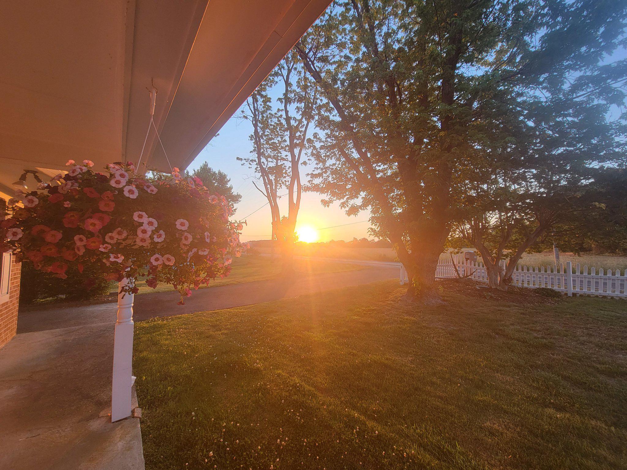 49716 Airedele Road Ridge, MD 20680 - Photo 110 of 115 Sunrise glow over tranquil landscape.