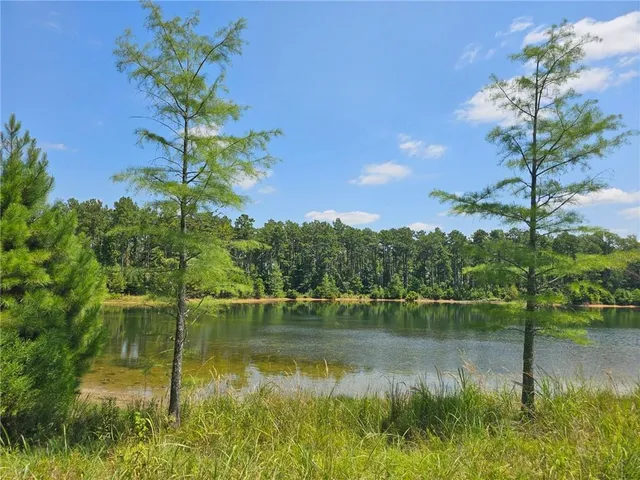 $100,000 | 0 Alexandria Highway, Leesville, LA 71446