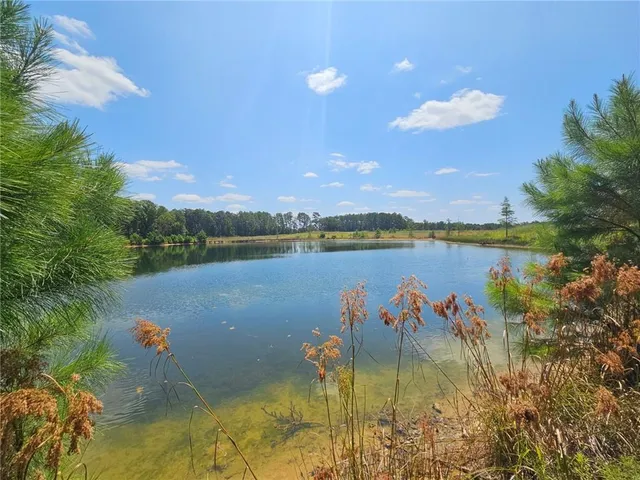 $100,000 | 0 Alexandria Highway, Leesville, LA 71446