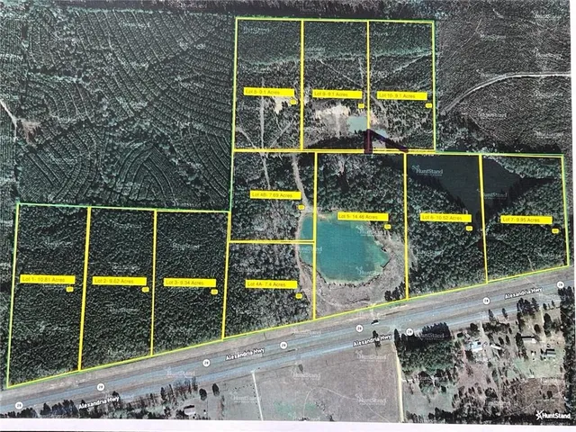 $100,000 | 0 Alexandria Highway, Leesville, LA 71446