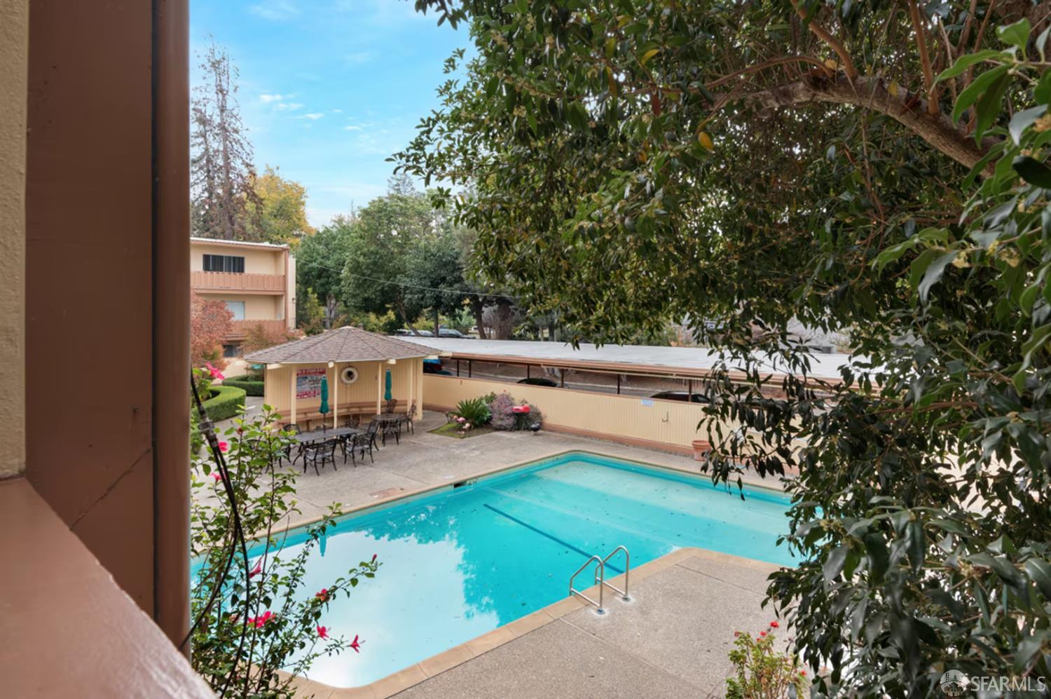 1736 Woodland Avenue Palo Alto, CA 94301 - Photo 16 of 17 swimming pool view with plants and large trees