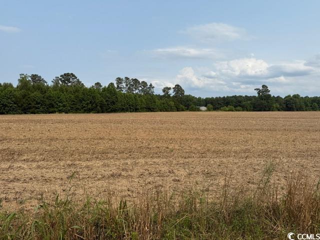 1776 Mack Road Conway, SC 29526 - Photo 1 of 5 Gallery Image 1