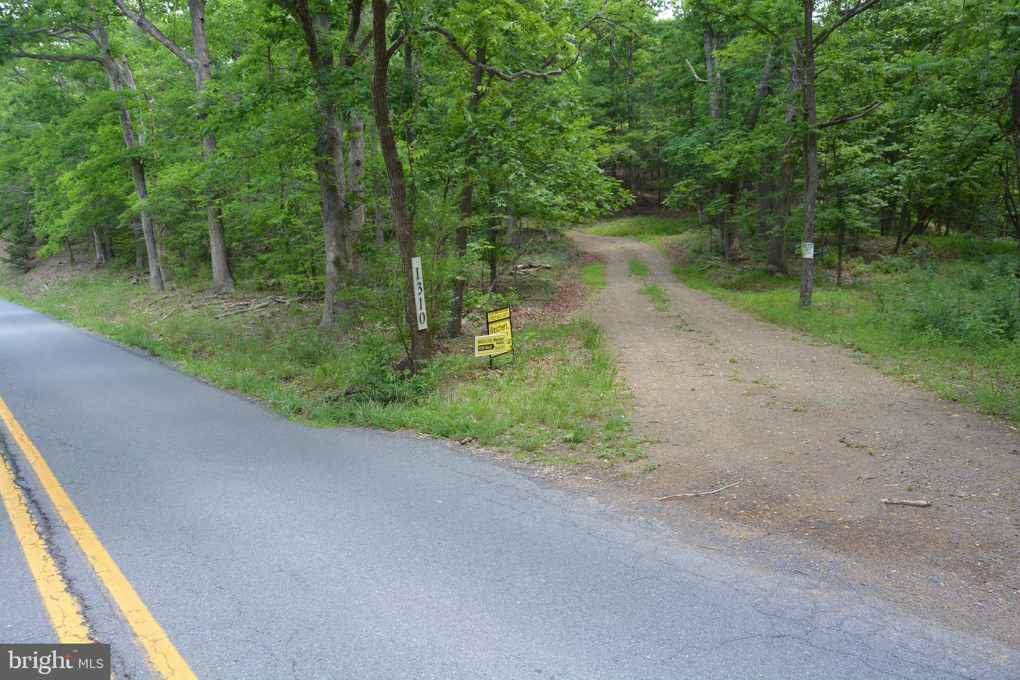 Two Lots On Siler Road Winchester, VA 22603 - Photo 7 of 38 a view of a road with a yard